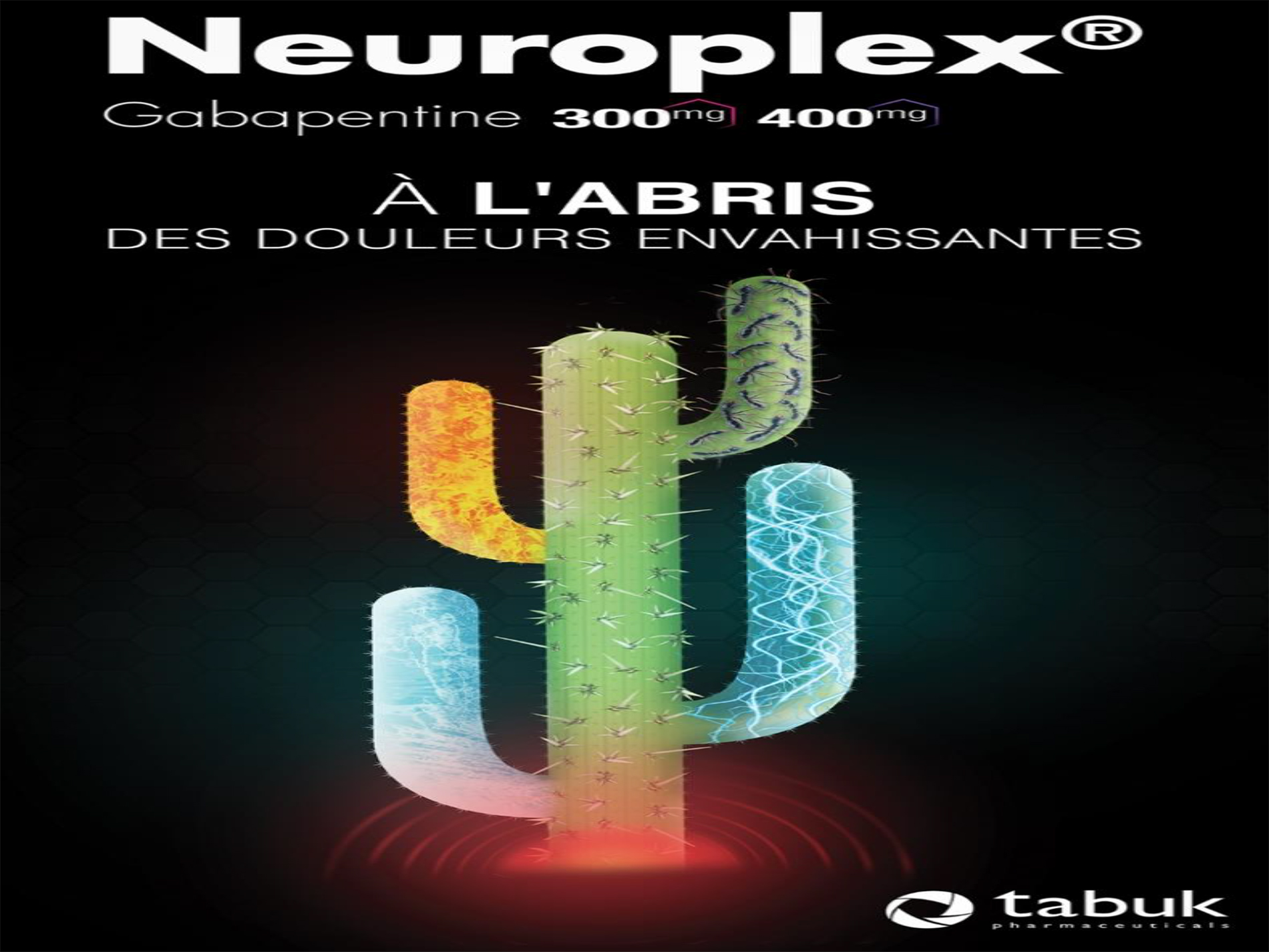 Neuroplex Gabapentine 300mg 400mg